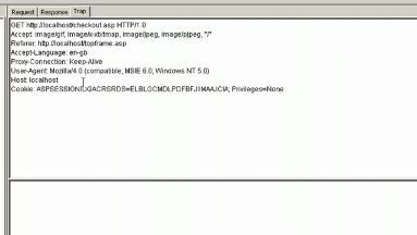 Cookie Poisoning Demonstration Screenshot