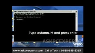 How to Remove Autorun.inf Virus? Screenshot
