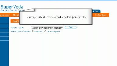 Script Injection Demonstration Screenshot