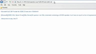 SQL Injection Basics Demonstration 2 Screenshot