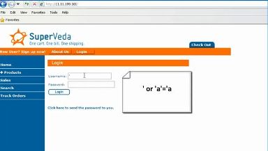 SQL Injection Basics Demonstration Screenshot