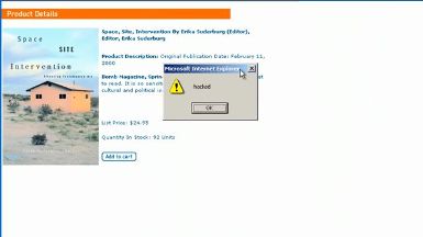 XSS Cross Site Scripting Demonstration Screenshot